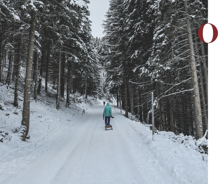 Rifugio Molignon Alpe di Siusi | Vacanze invernali per famiglie: Alpe di Siusi con vista mozzafiato sul Molignon e sulle Dolomiti L'immagine mostra una donna a rotelle nel mezzo di un bosco.