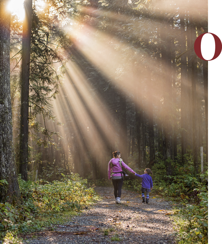 L'immagine mostra una famiglia su un sentiero escursionistico in un bosco.