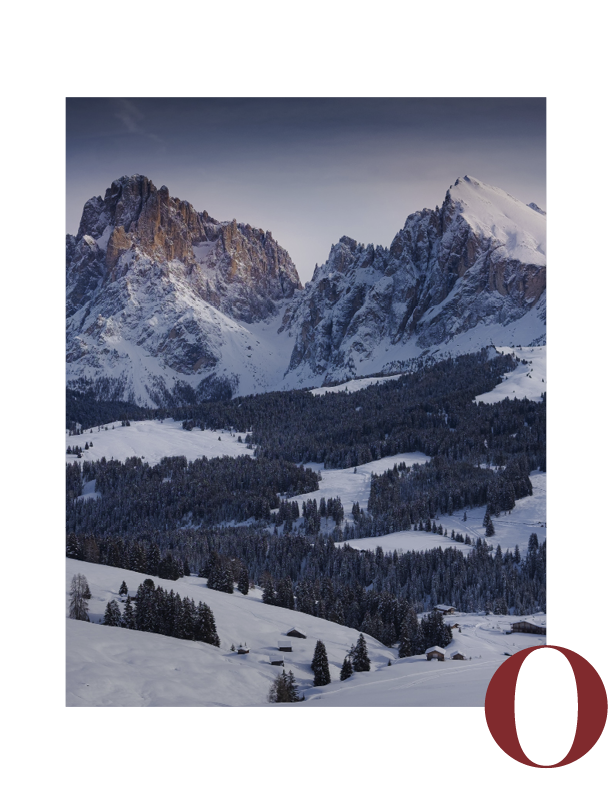 Rifugio Molignon Alpe di Siusi | Lungo e Piatto nel loro magnifico manto nevoso L'immagine mostra il pelo lungo e piatto in inverno.