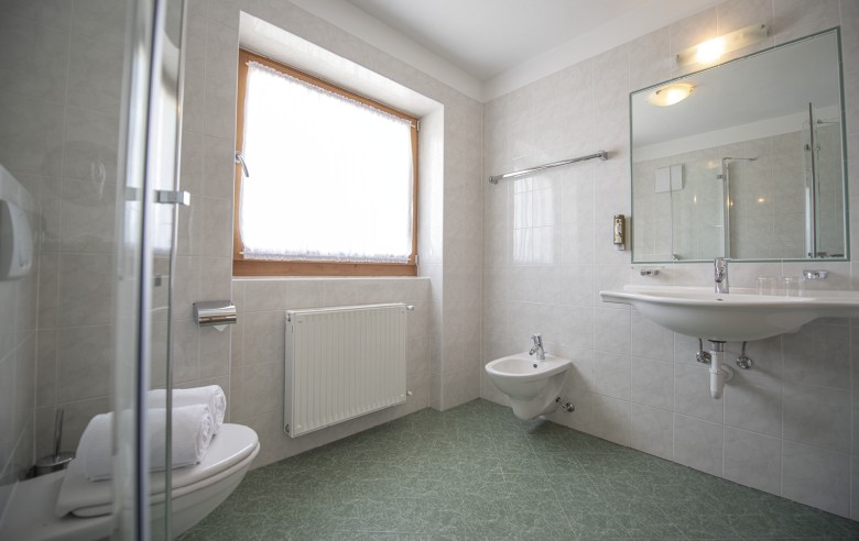 La foto mostra il bagno della camera Long- Plattkofel. E 'completamente attrezzata con lavandino, wc e doccia.